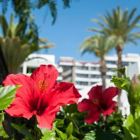 Optimist Las Americas Playa de las Americas  Exterior photo